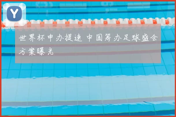 世界杯申办提速 中国筹办足球盛会方案曝光