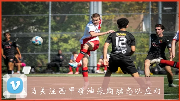 皇马关注西甲硅油采购动态以应对球员伤病问题