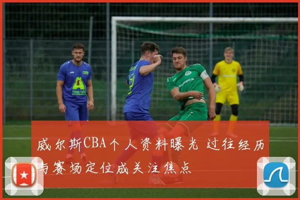 威尔斯CBA个人资料曝光 过往经历与赛场定位成关注焦点